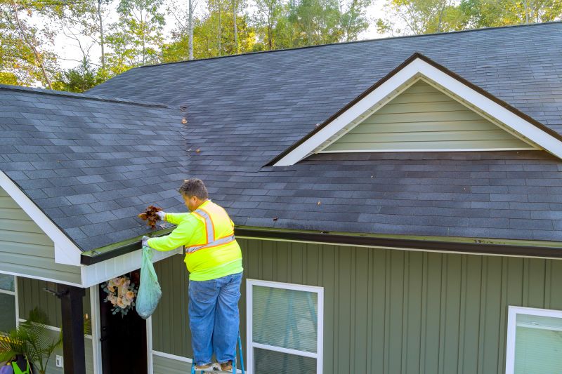 Local Wood Gutter Services pros at work