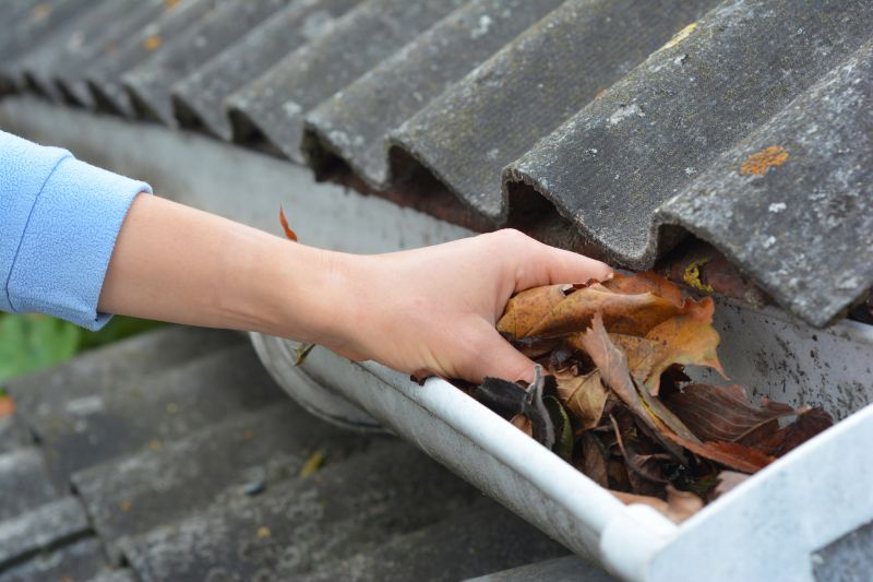 Cleaning Wooden Gutters